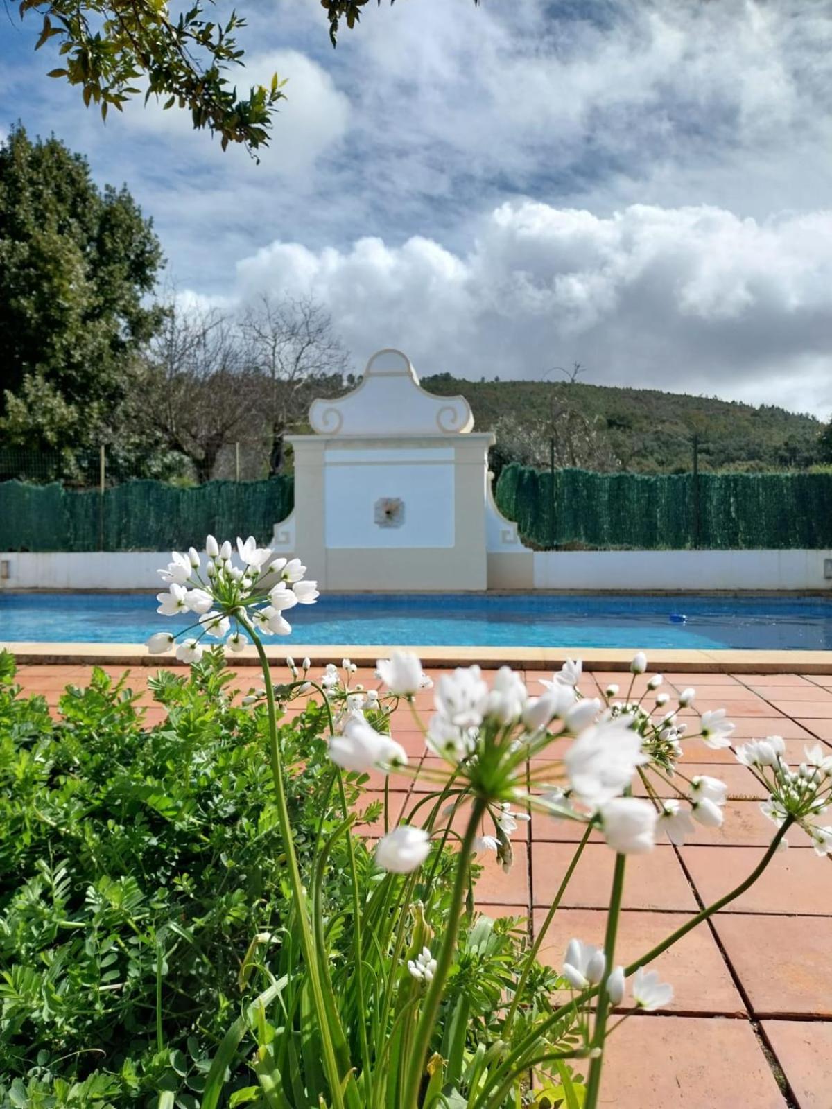 Casa Do Ginjal By Naturalegre Marvão 外观 照片